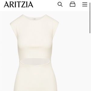 NWT Aritzia dress. Size Large.